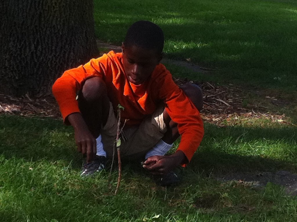 Learning in the Middle Years