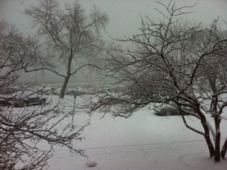 Gluten-free Vegan Stew